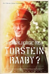 Poster for The Raaby Mystery