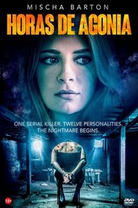 Poster 11