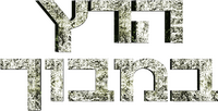 Logo 16
