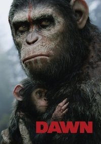 Poster 169