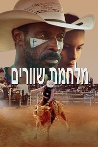Poster 8