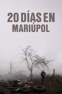 Poster 10