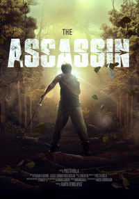 Poster for The Assassin