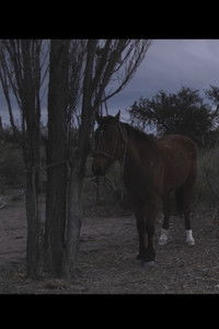 Poster for One Day And Every Day