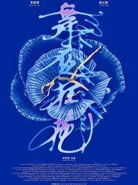 Poster for Midnight Valerie