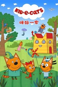 Kitten Lady and Friends