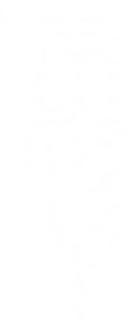 Logo 31