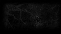 Backdrop 3