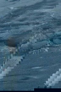 Under the Ice