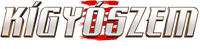 Logo 12