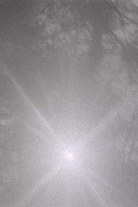 Poster for Wherefrom the Shadows That Are Forms Fall