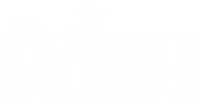 Logo 29