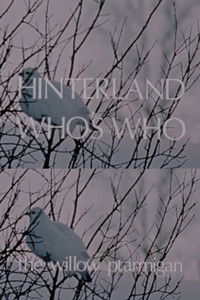 Poster for Hinterland Who's Who: The Willow Ptarmigan