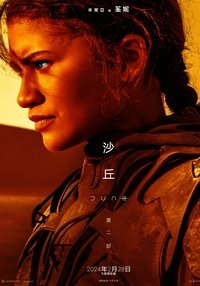 Poster 311
