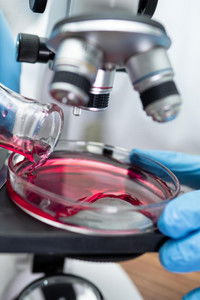 Poster for Medical Pioneers - Curing The Incurable