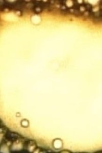 Rite of the Black Sun