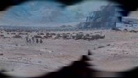 Backdrop 2