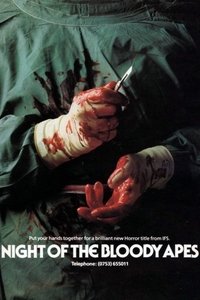 Poster 13