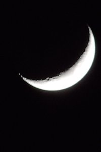 Poster for Lost on Arrival