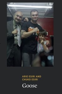 Poster 0