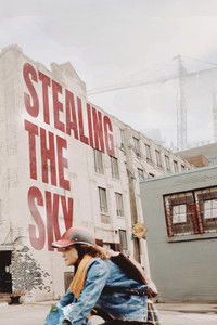 Poster for Stealing the Sky