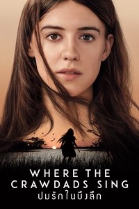 Poster 15