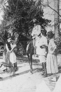 Poster for O Destino das Rosas