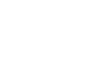 Logo 55