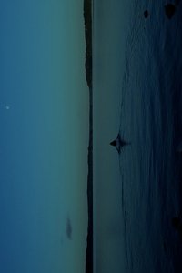 Poster for THE WATERS