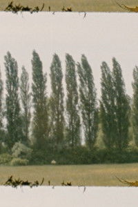 Poster for Landscape as Landscape 7