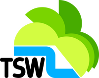 Television South West