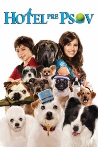 Poster 18