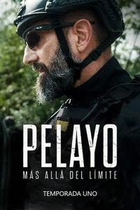 Poster for Miniseries