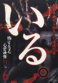 Poster for 「Iru.」~ Kowasugiru Tōkō Eizō 13-hon ~ Vol.6