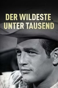 Poster 25