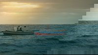 Backdrop 0