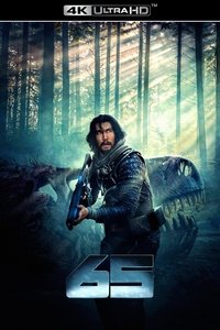 Poster 71