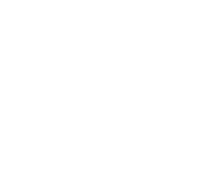 Logo 12