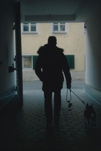 Poster for The Walk