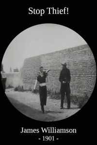 Poster for Stop Thief!