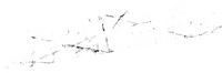 Logo 10