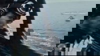 Backdrop 81