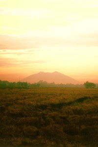 Poster for Irik ng Lunggati