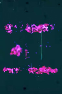 Poster for Binary Bit Patterns