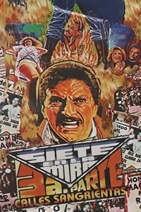 Siete en la Mira 3
