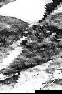 Profile of Dimos Sakelariou