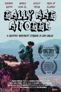 Poster for Sally Has a Posse