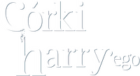 Logo 0