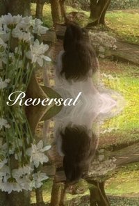 Poster 6