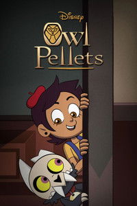 Poster for Owl Pellets